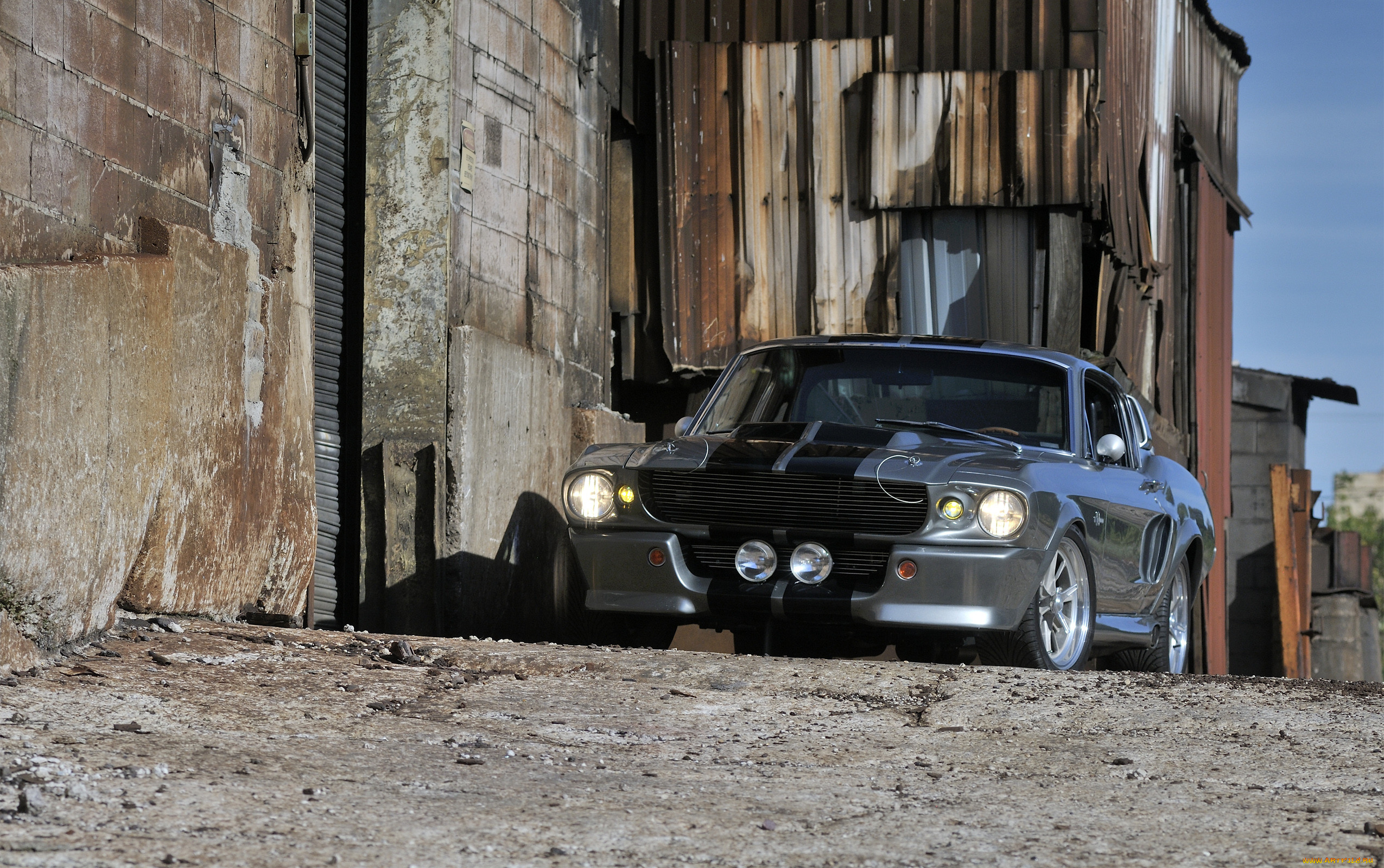 , mustang, eleanor